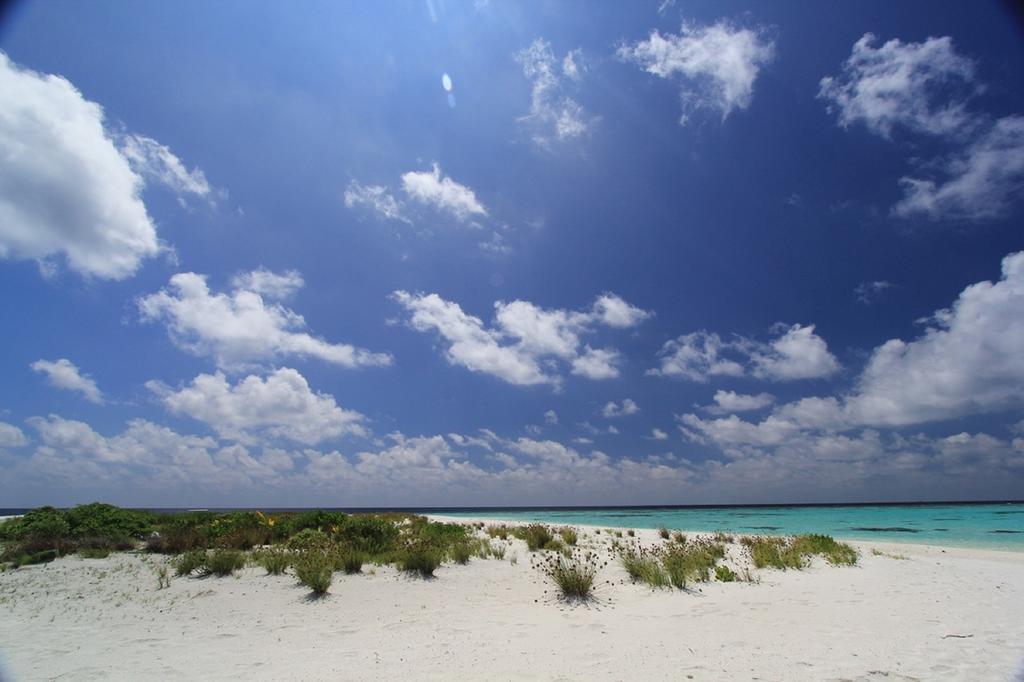 Local Island Inn Hangnaameedhoo Екстериор снимка