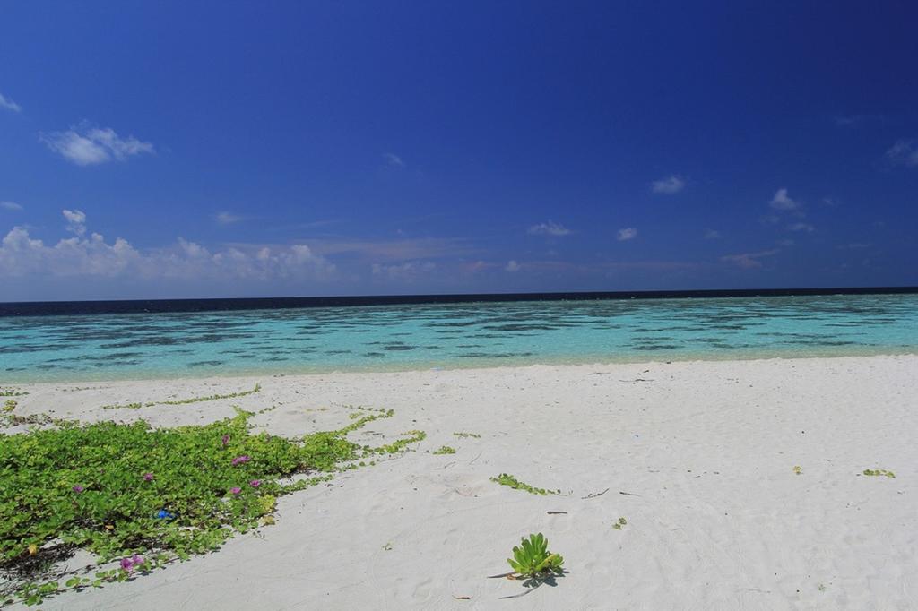 Local Island Inn Hangnaameedhoo Екстериор снимка